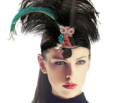 Rhinestone Owl Feather Headband Online now