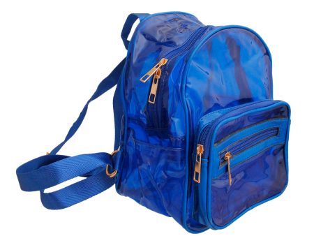 Blue Transparent Backpack For Sale