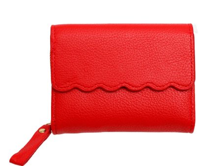 Accordian Wallet Red Snap Cardholder for Women For Discount